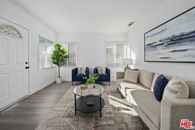 living room featuring wood-type flooring