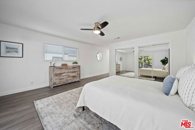 bedroom with ceiling fan, multiple windows, dark hardwood / wood-style flooring, and multiple closets