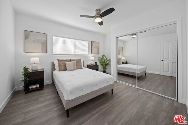 bedroom featuring a closet, dark hardwood / wood-style flooring, and ceiling fan