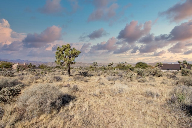 145 Palomar Ave, Yucca Valley CA, 92284 land for sale