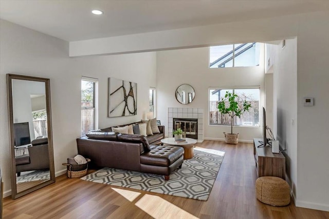 living room featuring a fireplace and wood-type flooring