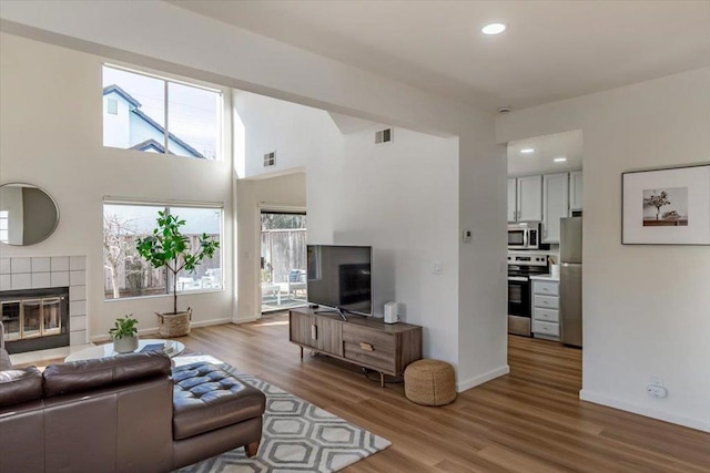 living room featuring a fireplace and hardwood / wood-style flooring