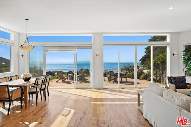 interior space featuring light hardwood / wood-style flooring and a water view