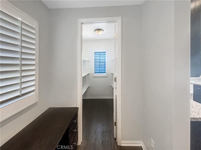 hall with dark hardwood / wood-style floors