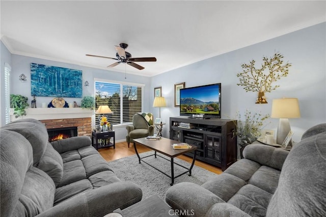 living room featuring ceiling fan, light hardwood / wood-style flooring, ornamental molding, and a fireplace