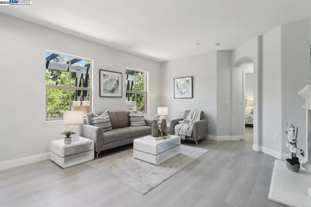 living room featuring light wood-type flooring