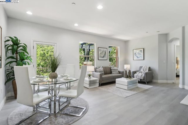 living room with light hardwood / wood-style flooring