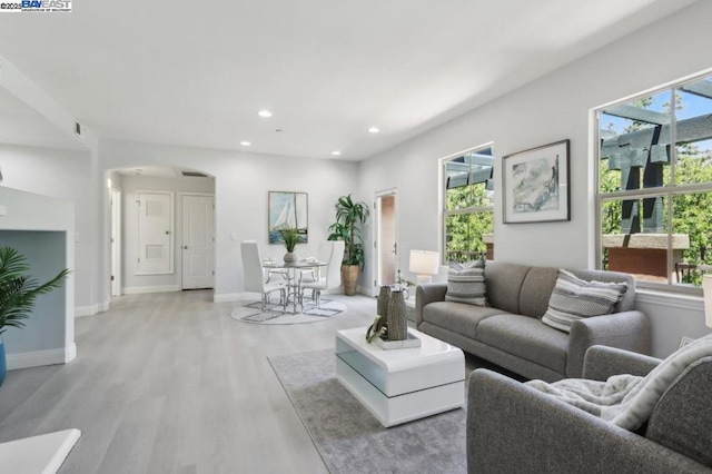 living room featuring a healthy amount of sunlight and light hardwood / wood-style flooring