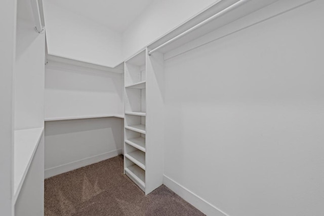 spacious closet with dark carpet