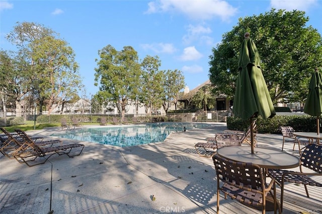 view of pool featuring a patio