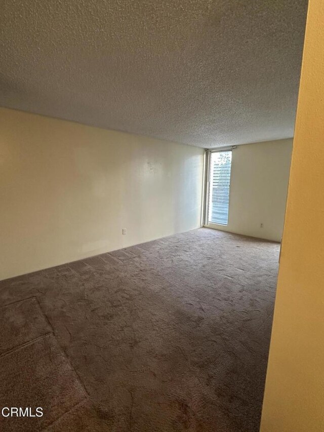 carpeted empty room with a wall of windows and a textured ceiling