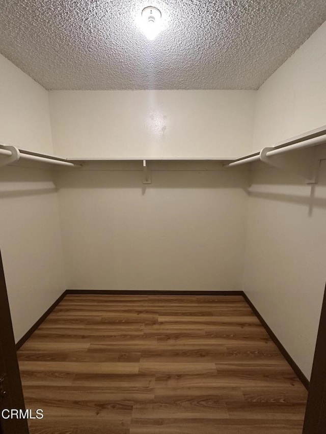 walk in closet with dark hardwood / wood-style flooring