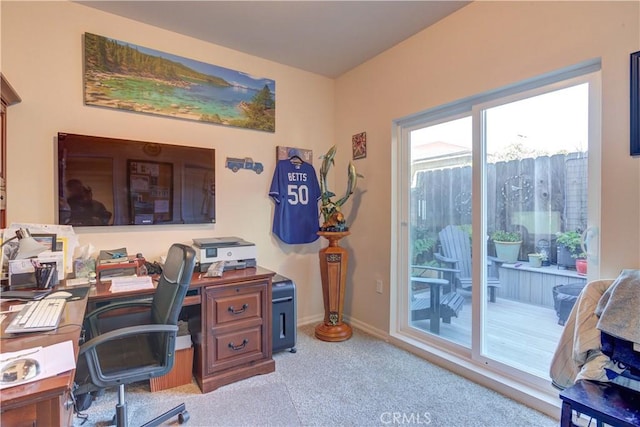 home office with light colored carpet