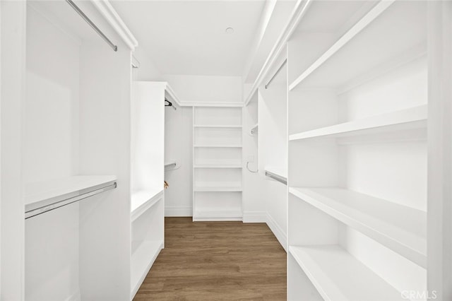 spacious closet featuring dark wood-type flooring