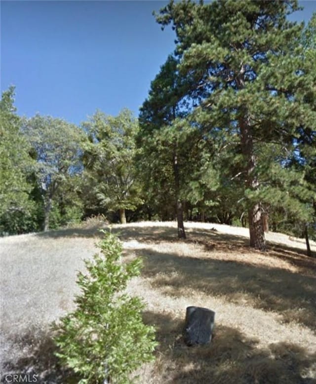 Listing photo 3 for 0 Mojave River Rd, Cedarpines Park CA 92322