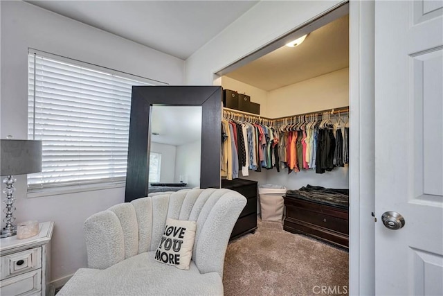 view of walk in closet