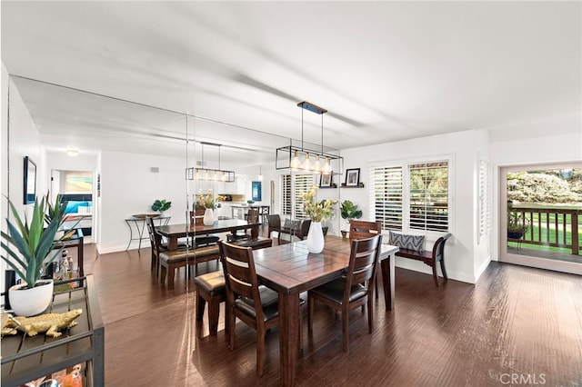 dining room featuring dark wood-type flooring