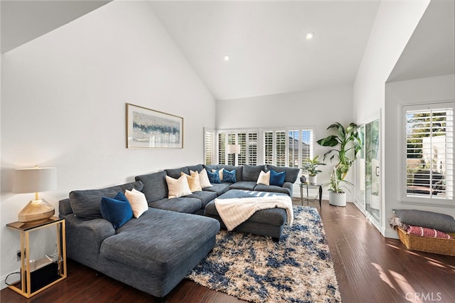 living room featuring a wealth of natural light, dark hardwood / wood-style floors, and high vaulted ceiling