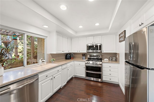 kitchen featuring a raised ceiling, sink, dark wood-type flooring, appliances with stainless steel finishes, and white cabinets