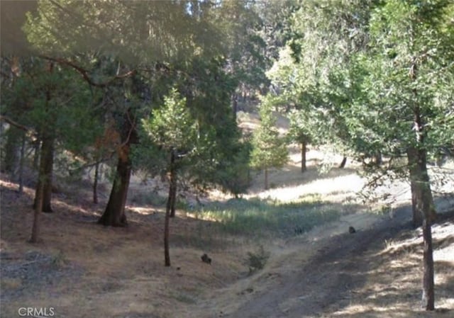 0 Burnt Mill Canyon Rd, Cedarpines Park CA, 92322 land for sale