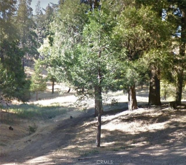 Listing photo 2 for 0 Burnt Mill Canyon Rd, Cedarpines Park CA 92322