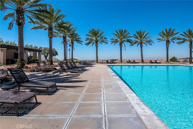 view of pool with a patio