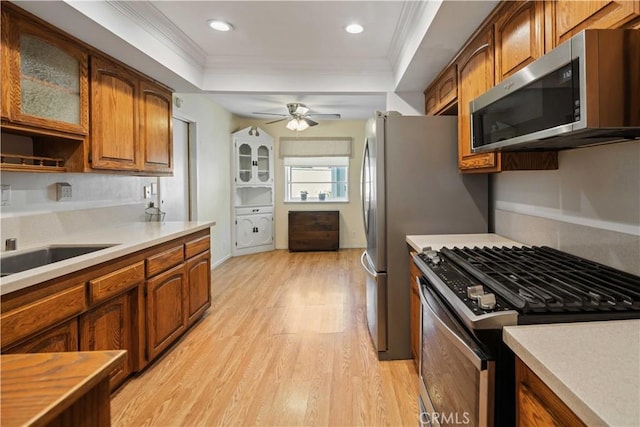 kitchen with ceiling fan, a raised ceiling, light hardwood / wood-style flooring, appliances with stainless steel finishes, and ornamental molding