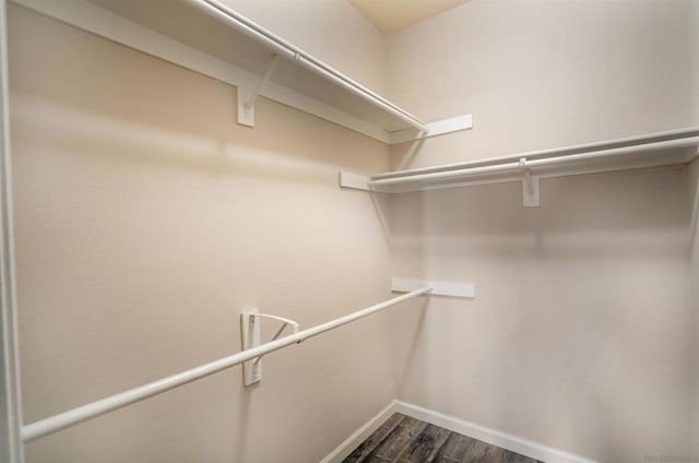 walk in closet with dark wood-type flooring