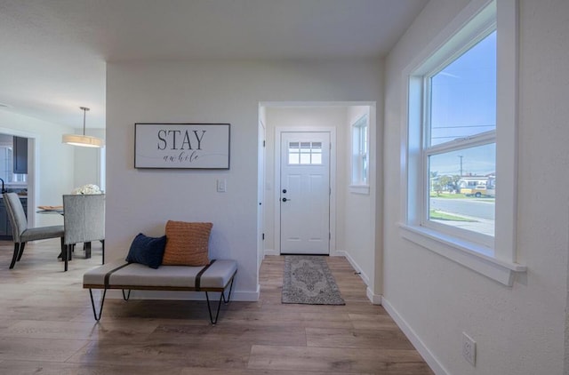 foyer entrance featuring light hardwood / wood-style flooring and a healthy amount of sunlight