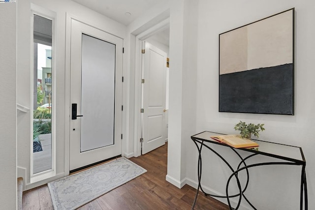 foyer featuring dark wood-type flooring