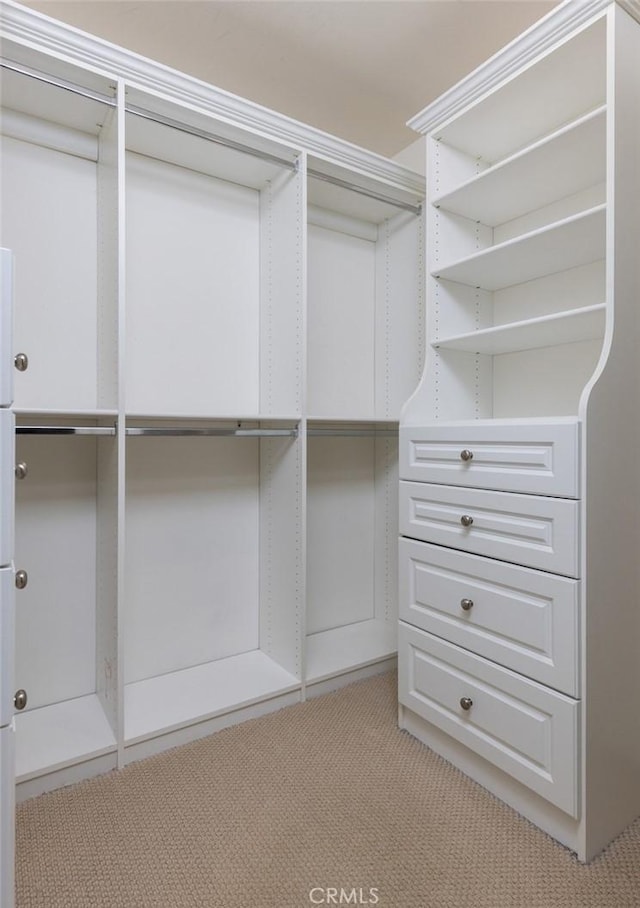 walk in closet featuring light carpet