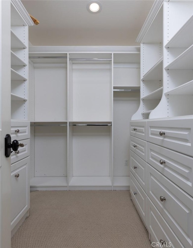 spacious closet featuring light carpet