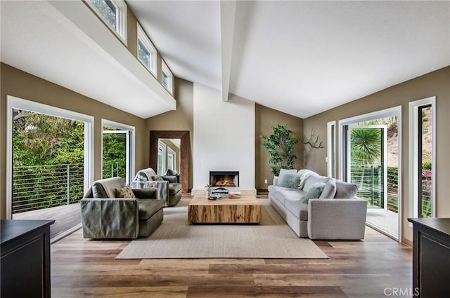 living area featuring high vaulted ceiling, wood finished floors, and a fireplace