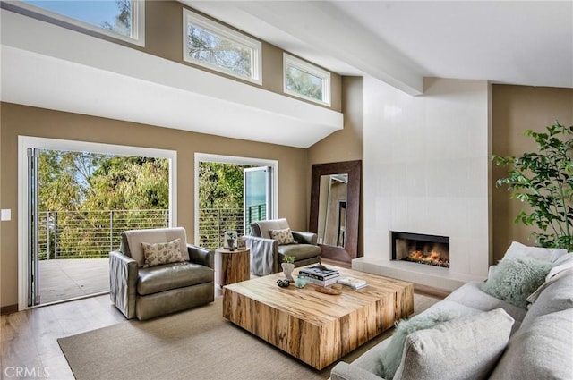 living room featuring light wood-type flooring and a fireplace