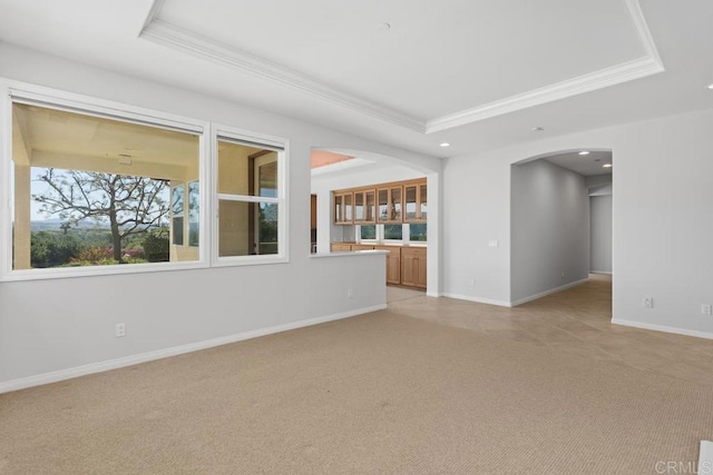 unfurnished living room featuring crown molding, light carpet, and a raised ceiling