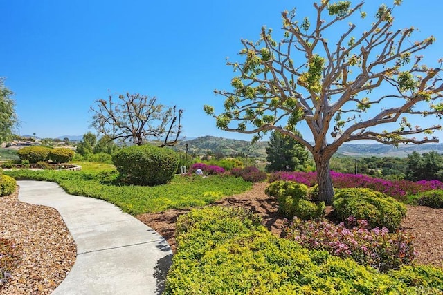 view of yard featuring a mountain view