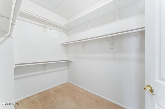 walk in closet featuring light colored carpet