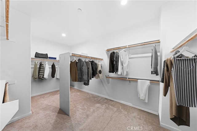 walk in closet with light carpet