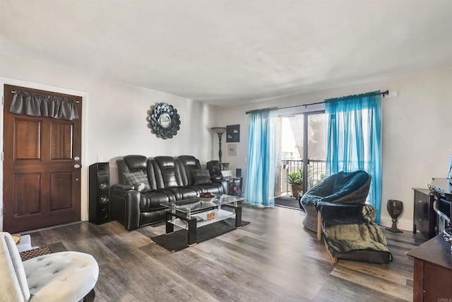 living room featuring hardwood / wood-style flooring