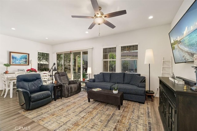 living room with ceiling fan and light wood-type flooring