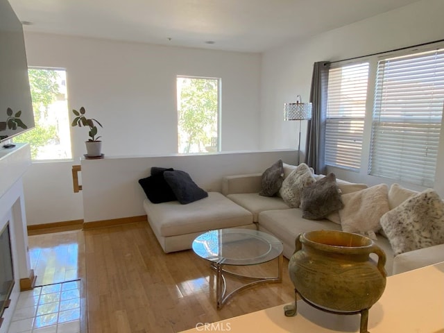 living room with light wood-type flooring