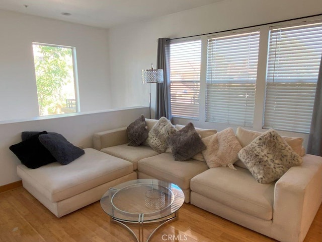 living room with hardwood / wood-style flooring