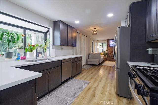 kitchen featuring stainless steel appliances, light hardwood / wood-style floors, dark brown cabinetry, and sink