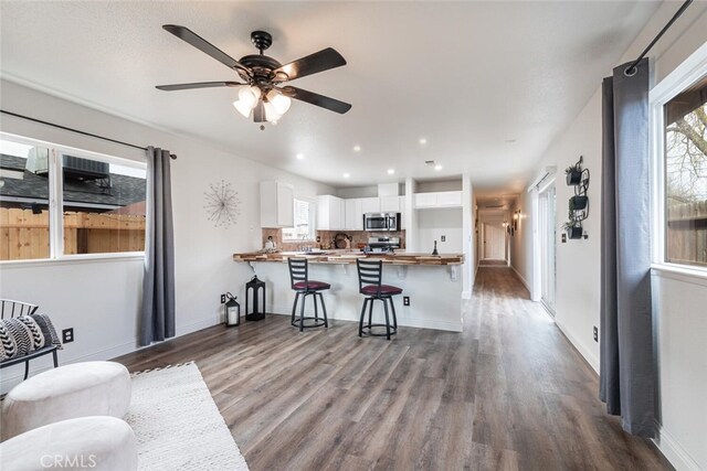 living room featuring ceiling fan and hardwood / wood-style flooring