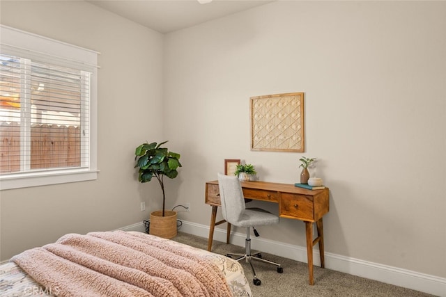 carpeted bedroom with multiple windows