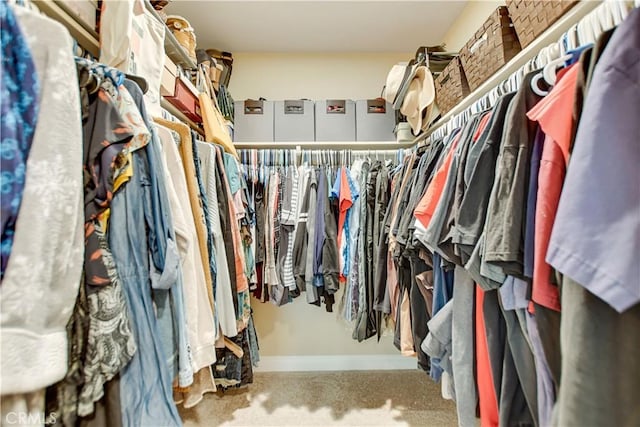 walk in closet featuring carpet