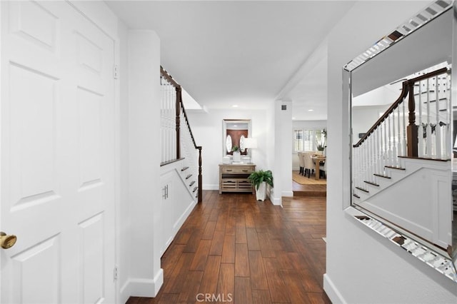 foyer with dark hardwood / wood-style floors