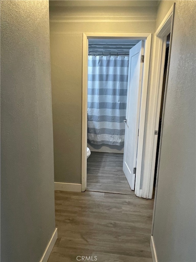 corridor featuring hardwood / wood-style floors