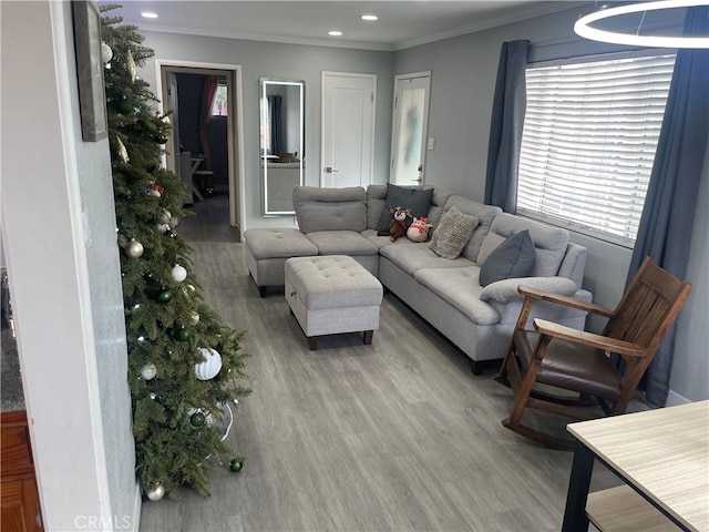 living room with ornamental molding and light wood-type flooring