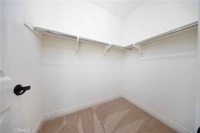 spacious closet with carpet flooring